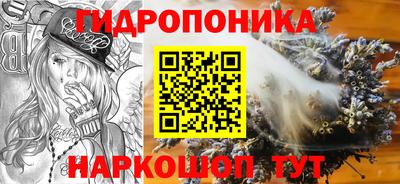 крисы Севастополь