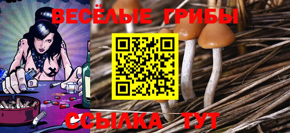 Отрадный  где купить наркотик  Вход с VPN  Галлюциногенные грибы Psilocybe 